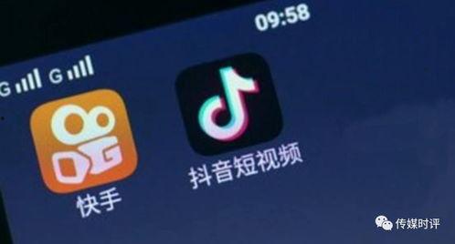 抖音爆料金吉鸟视频,金吉鸟视频背后的精彩故事 第3张 抖音爆料金吉鸟视频,金吉鸟视频背后的精彩故事 第3张