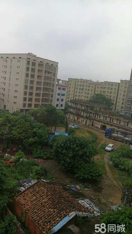 化州广伦花园最新爆料,揭秘神秘爆料背后的精彩细节 第1张 化州广伦花园最新爆料,揭秘神秘爆料背后的精彩细节 第1张