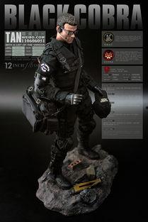 代号眼镜蛇在线观看,揭秘神秘特工的惊险任务 第2张 代号眼镜蛇在线观看,揭秘神秘特工的惊险任务 第2张